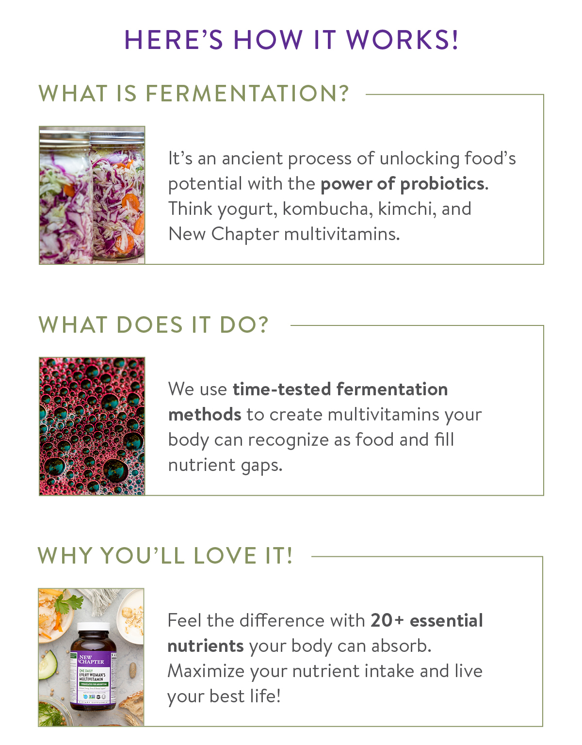 Uncover the Mystique of Fermented Multivitamins New Chapter