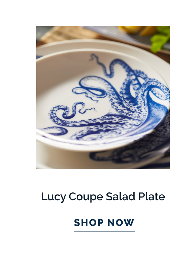 Lucy Coupe Salad Plate. SHOP NOW