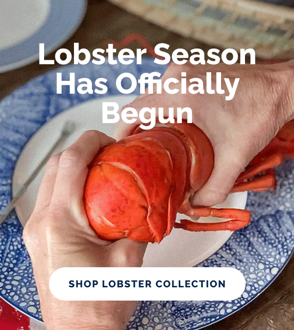 Lobster Season Has Officially Begun. SHOP LOBSTER COLLECTION