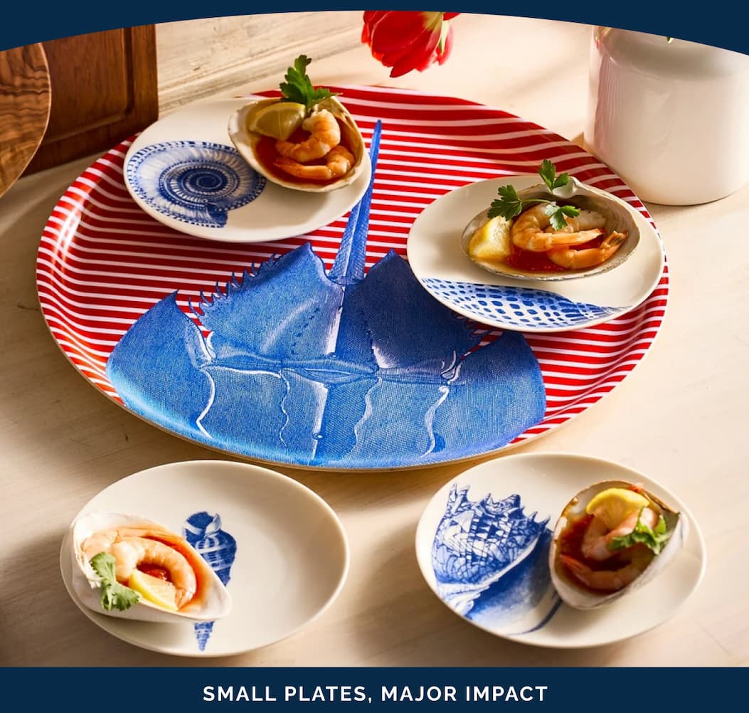 Shells Small Plates
