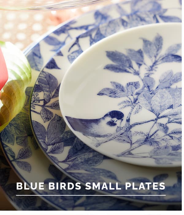 Blue Birds Small Plates