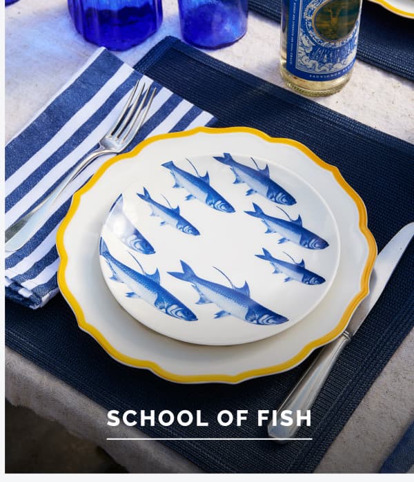 School of Fish