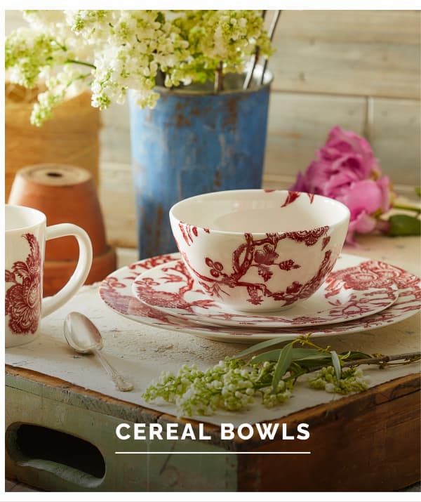 Arcadia Crimson Cereal Bowls