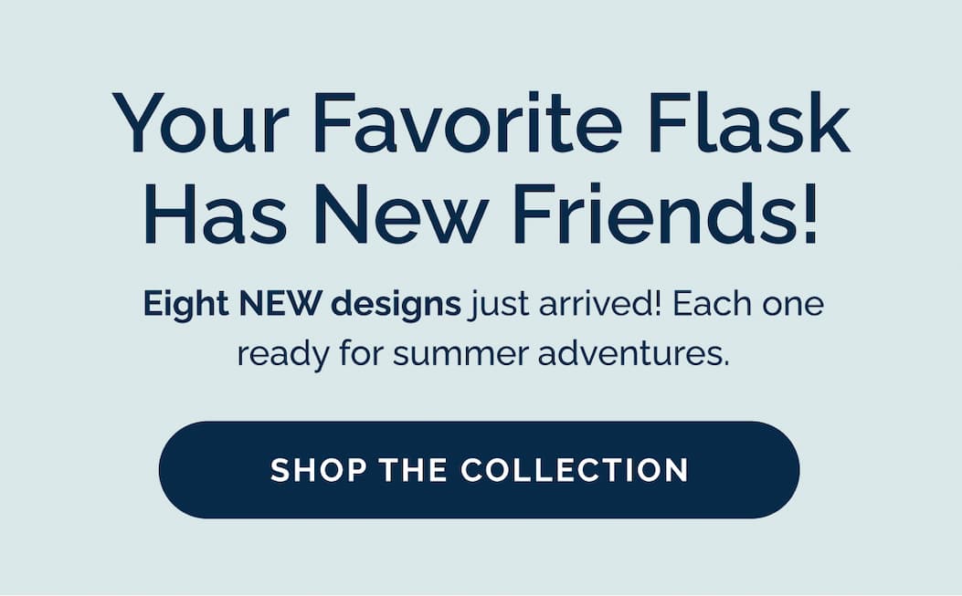 Your Favorite Flask Has New Friends! Shop the Collection