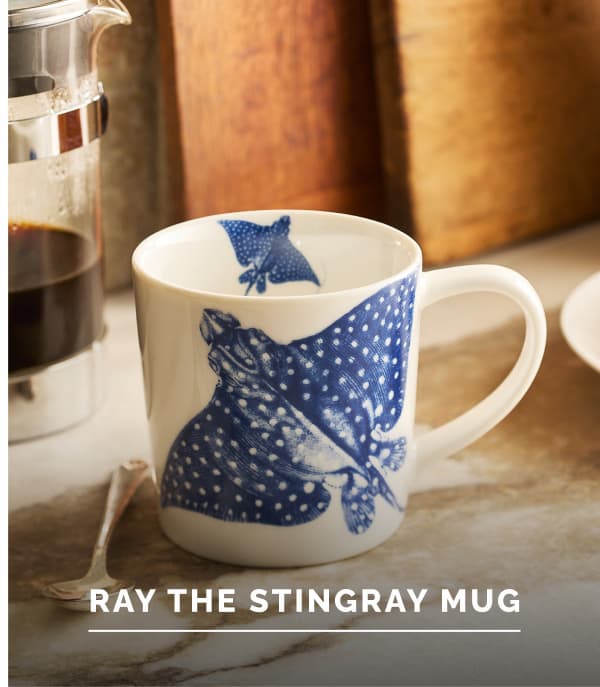 Ray Mug