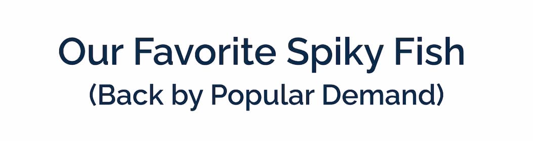 Our Favorite Spiky Fish (Back by Popular Demand)