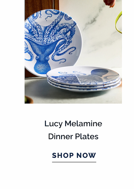 Lucy Melamine Dinner Plates. SHOP NOW
