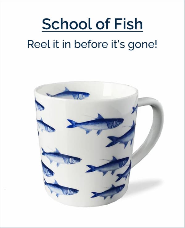 School of Fish