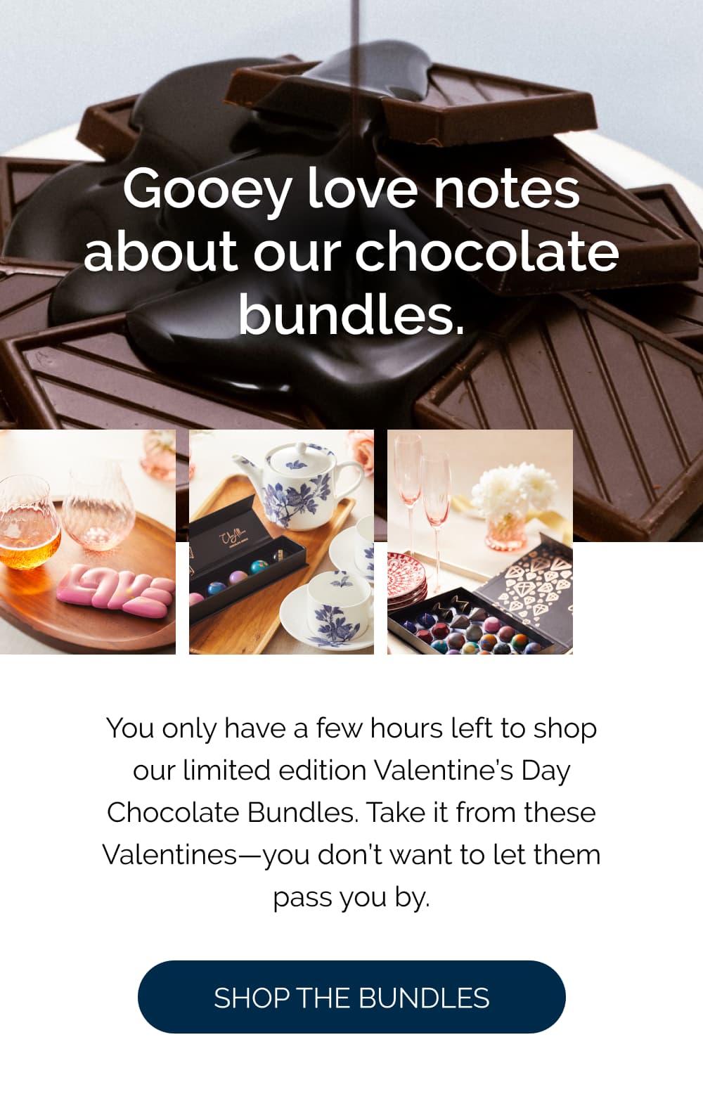Gooey love notes about our chocolate bundles.  You only have a few hours left to shop our limited edition Valentine's Day Chocolate Bundles. Take it from these Valentines—you don't want to let them pass you by.  [Shop the Bundles]