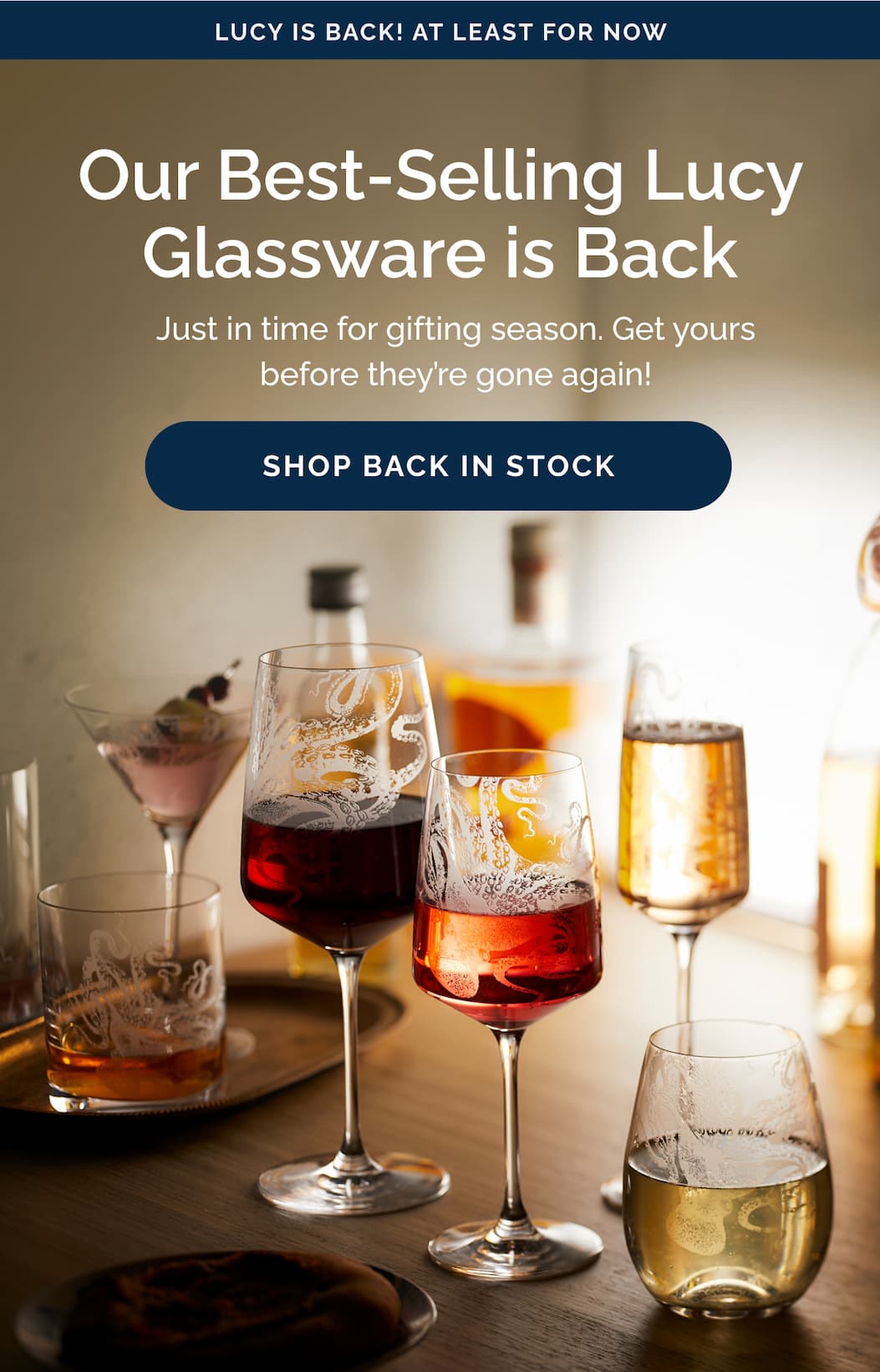 Our best-selling Lucy glassware is back in stock! At least for now. Shop now