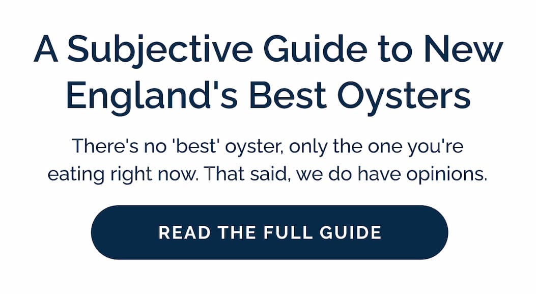 A Subjective Guide to New England's Best Oysters