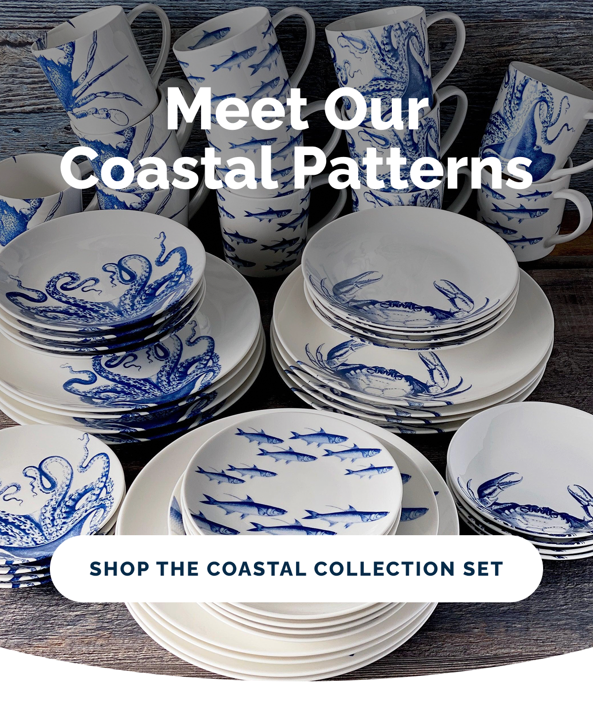 Meet Our Coastal Patterns. Shop the Coastal Collection Set