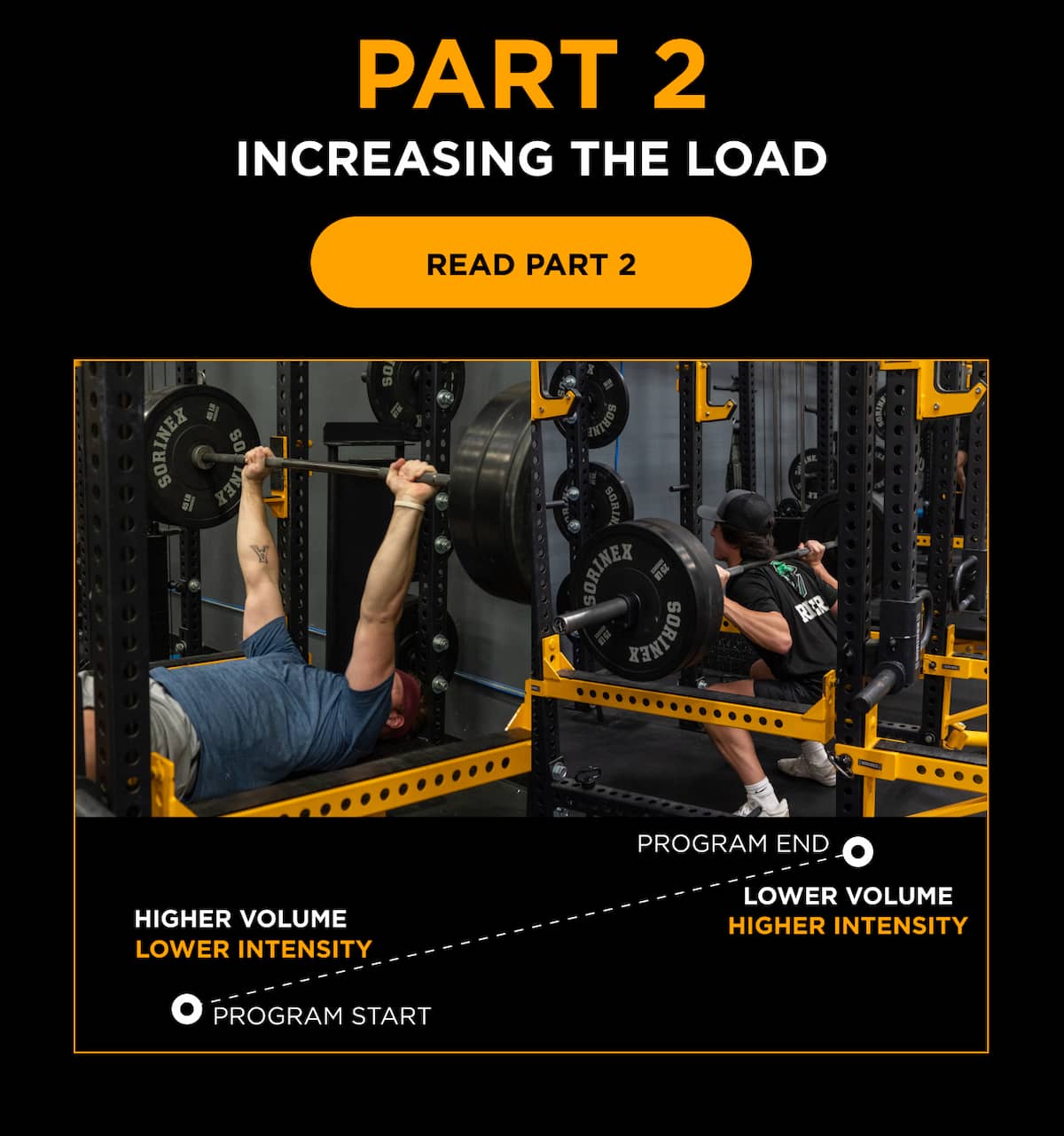 A Guide To Progressing Strength This Summer Driveline Baseball