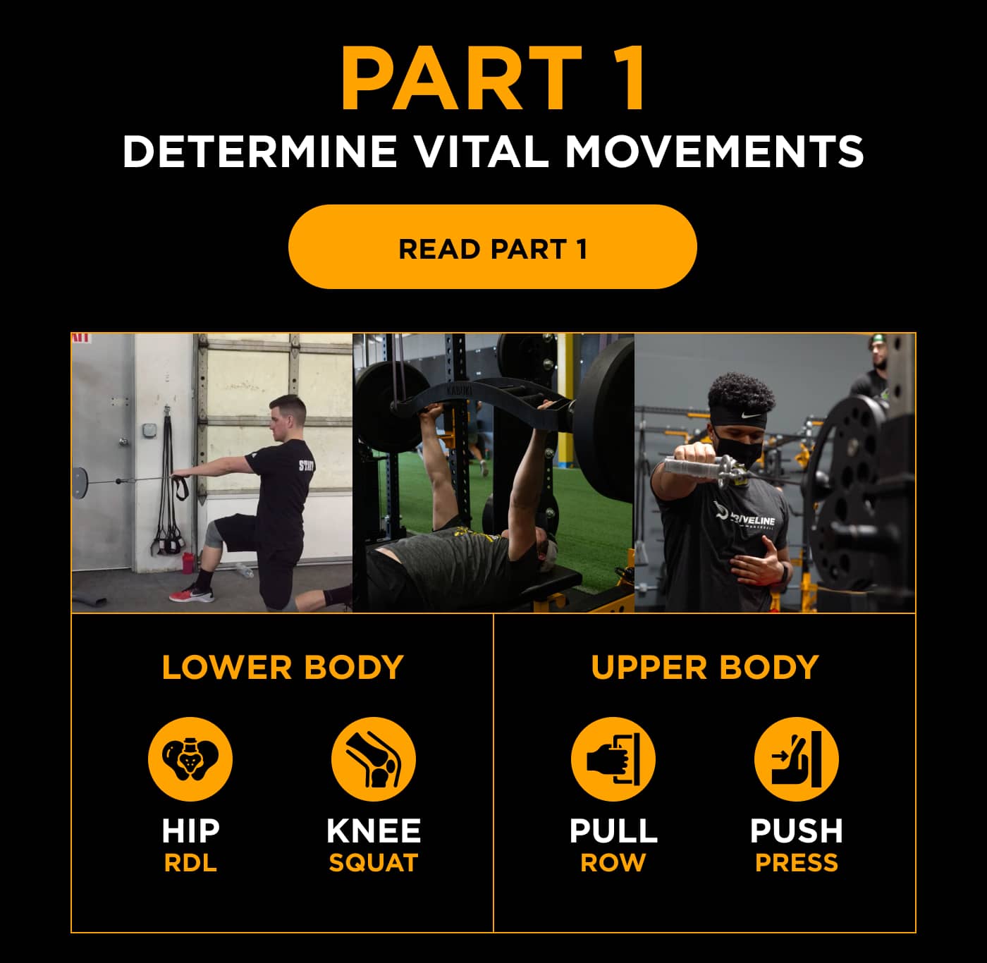 A Guide To Progressing Strength This Summer Driveline Baseball
