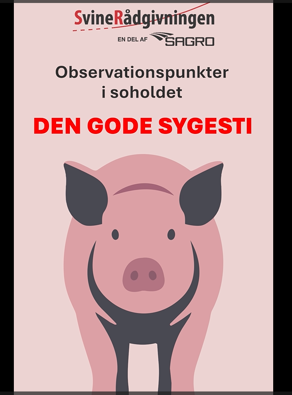 an image of two pigs are looking over a wall