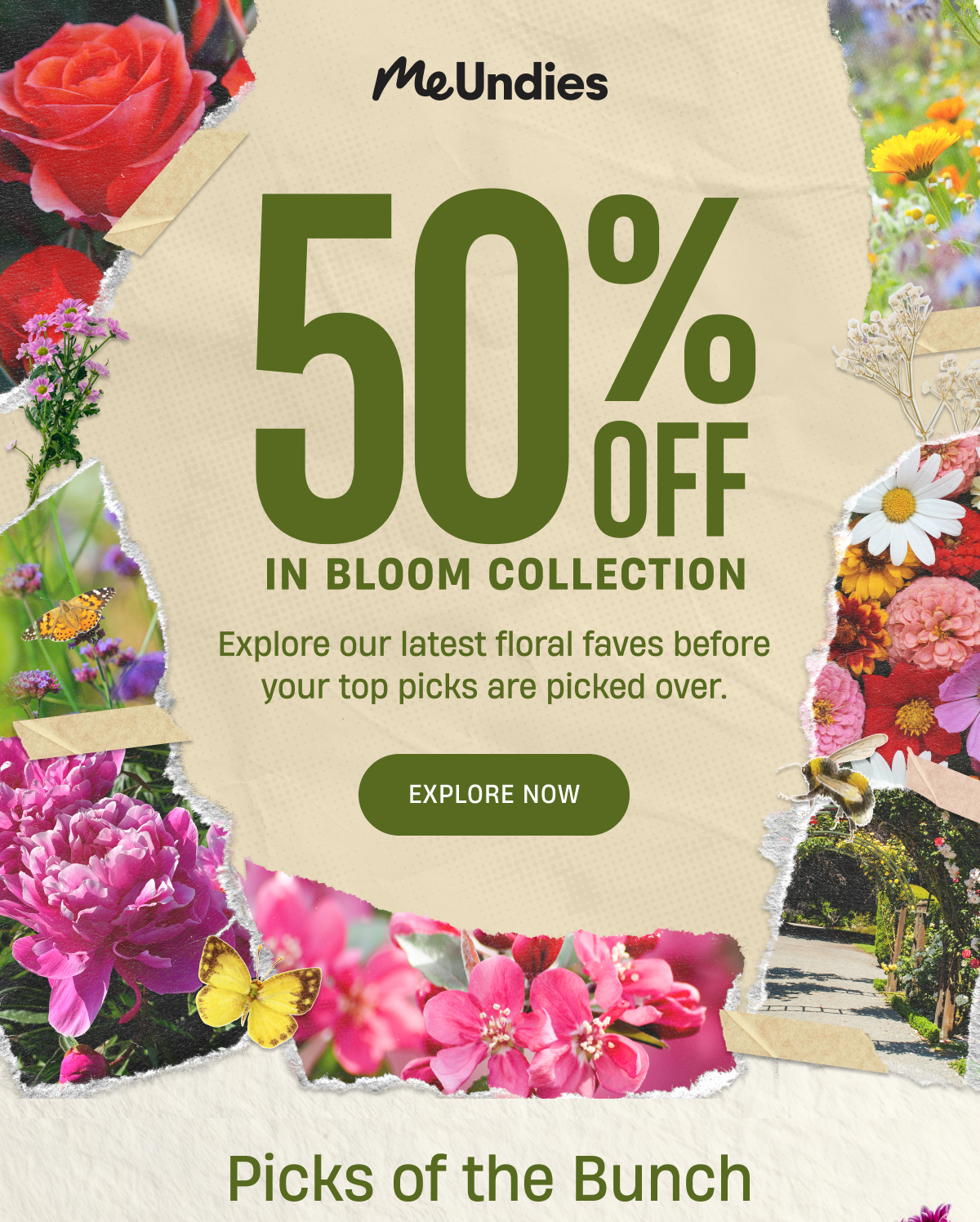 MeUndies | 50% Off In Bloom Collection | Explore Now