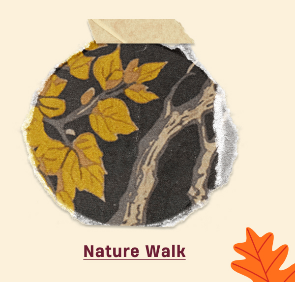 Nature Walk