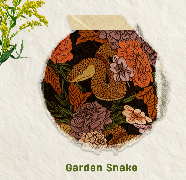 Garden Snake