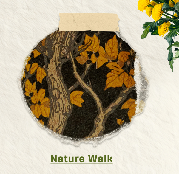 Nature Walk