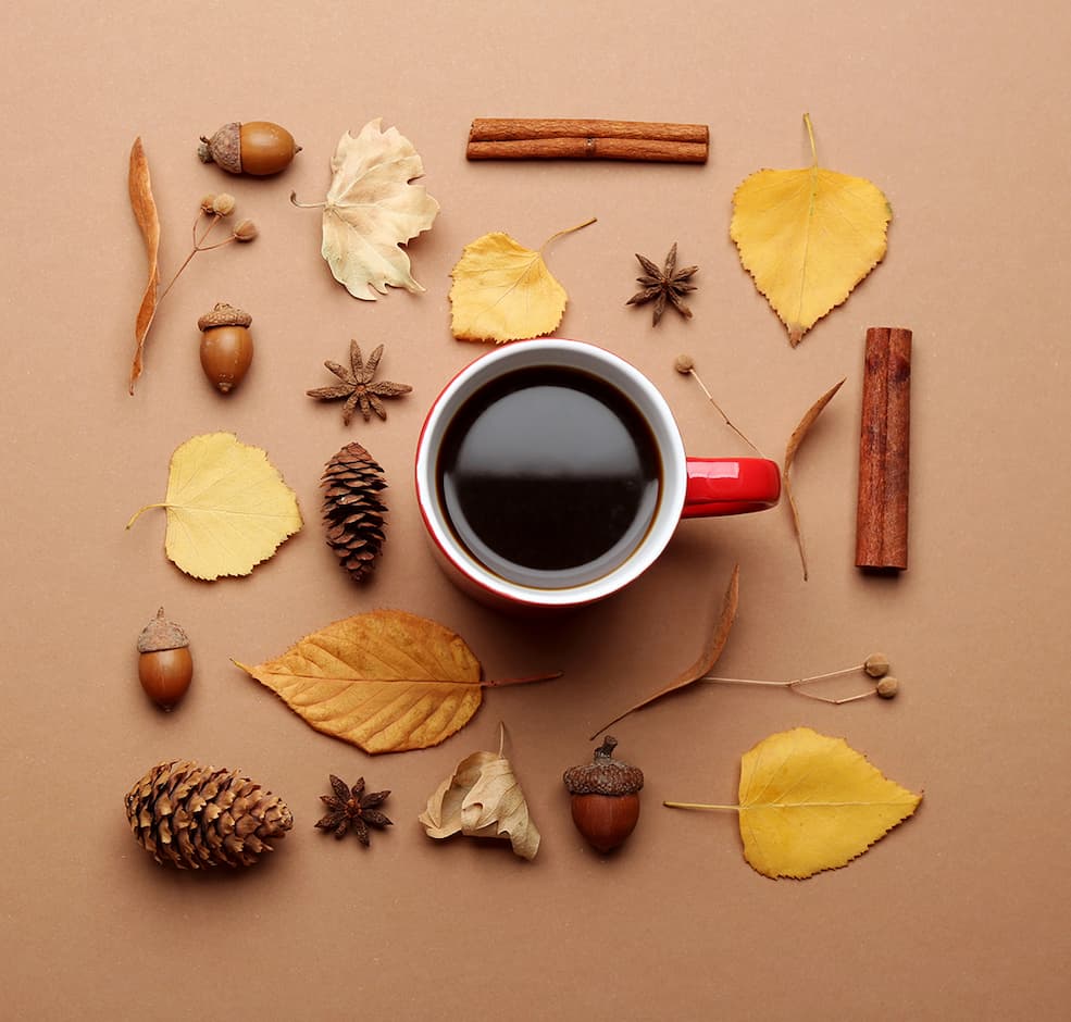Fall Savings