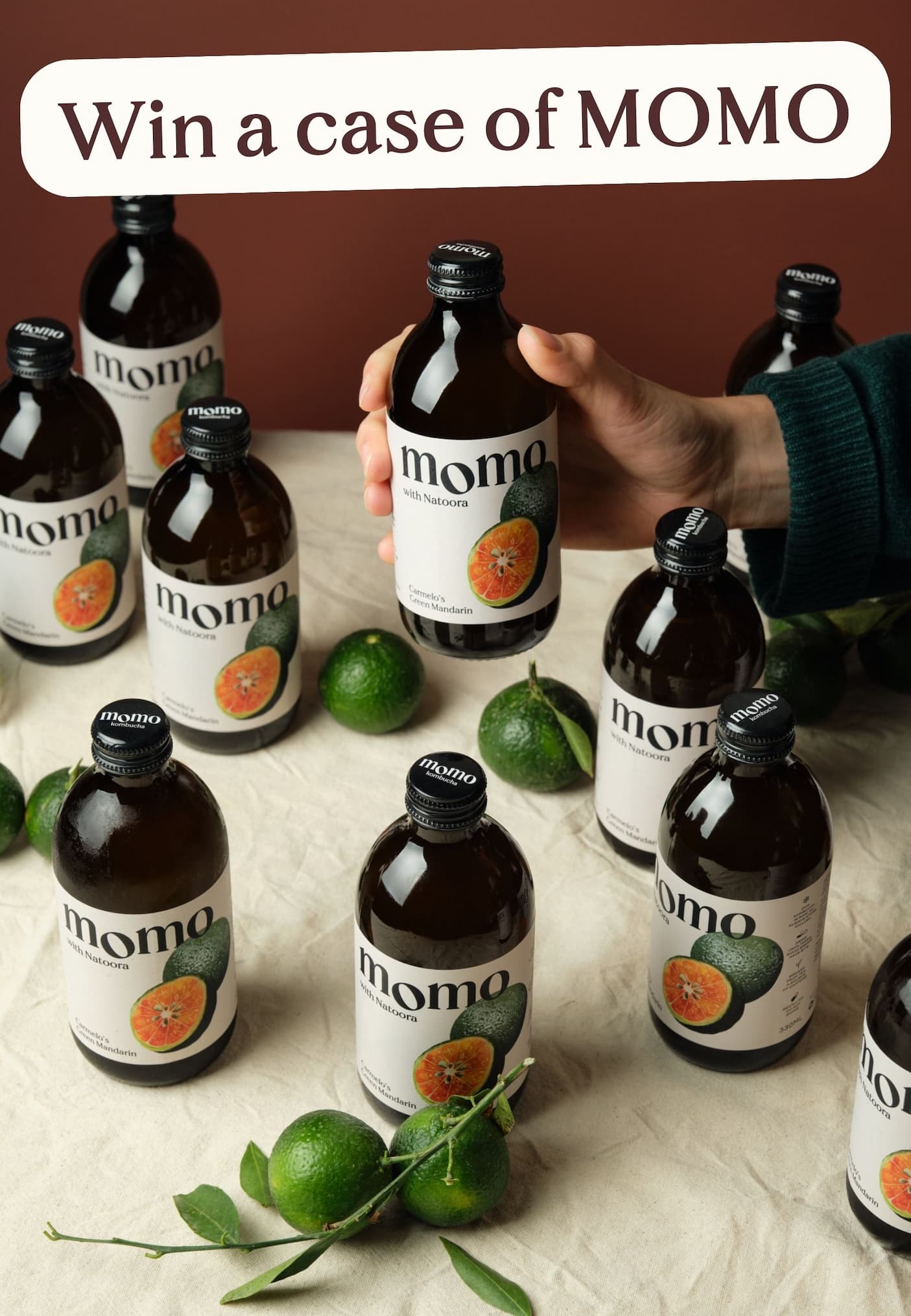 all-kombucha-products-momo-kombucha-momo-kombucha