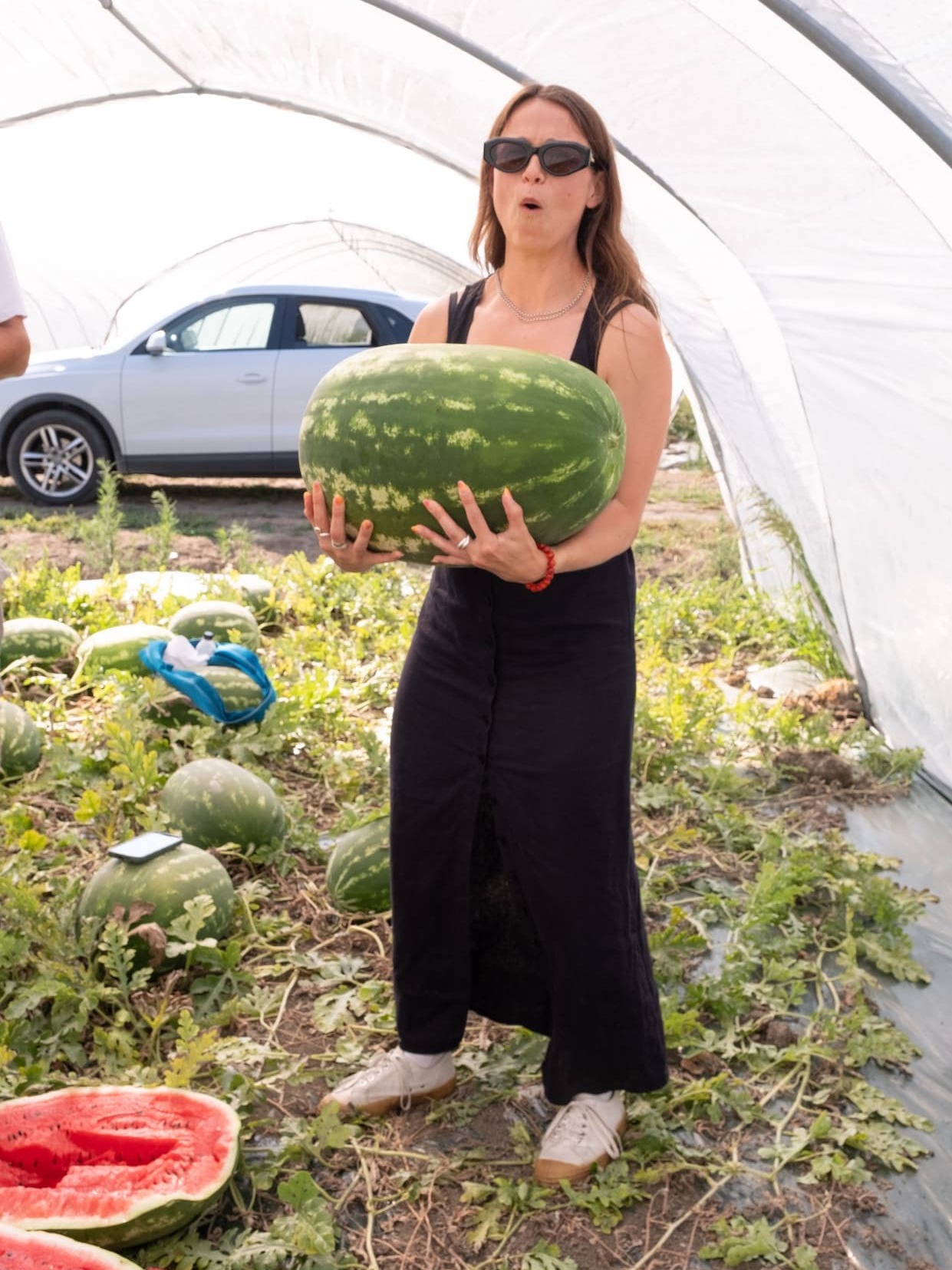 Harley just about holding onto a giant sentinel watermelon.