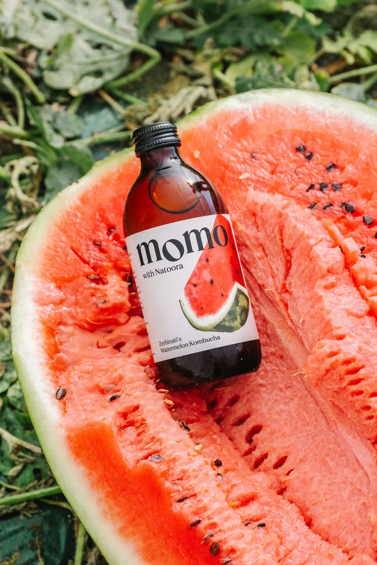 Zerbinati's Watermelon Kombucha, in front of a couple of melons.