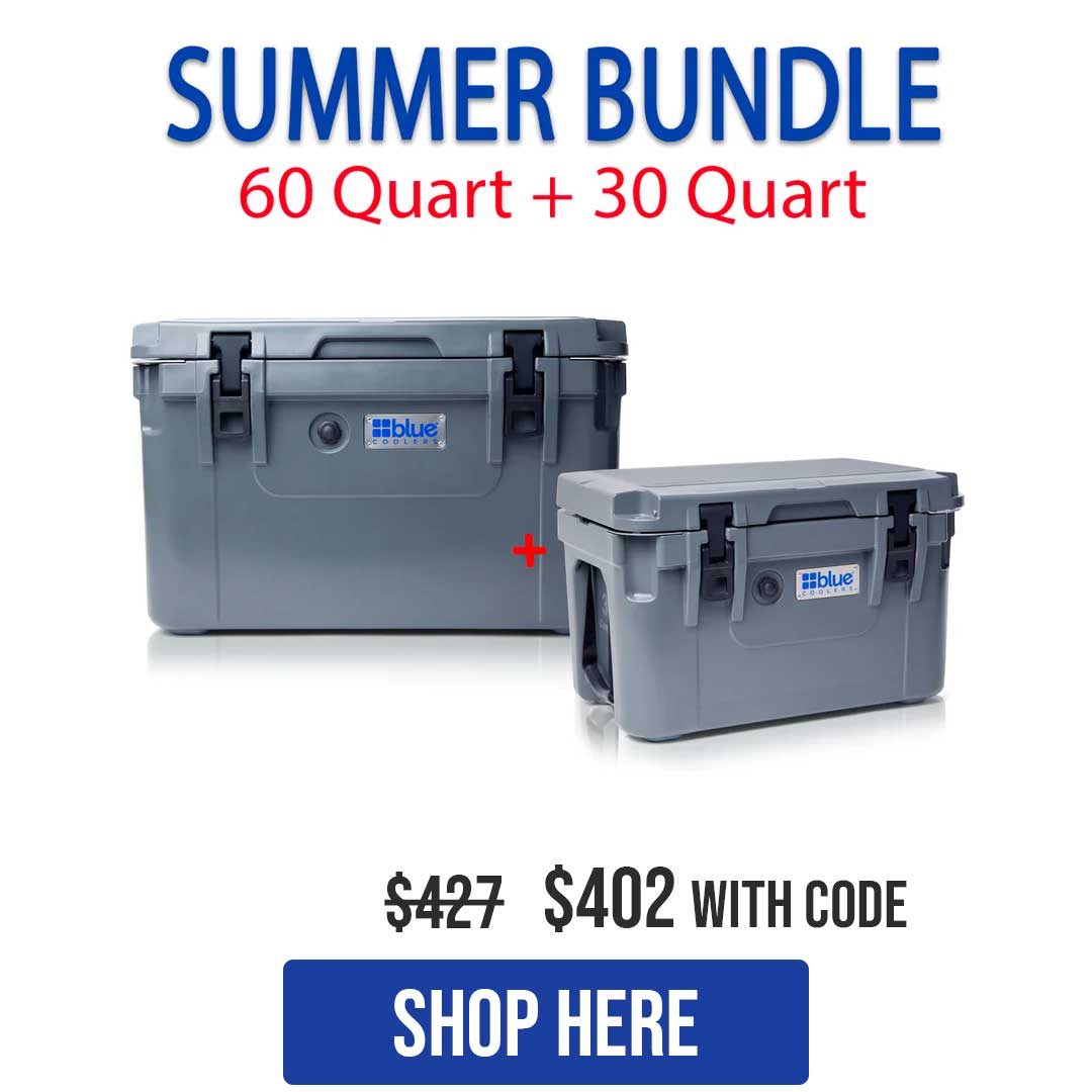 Summer Bundle
