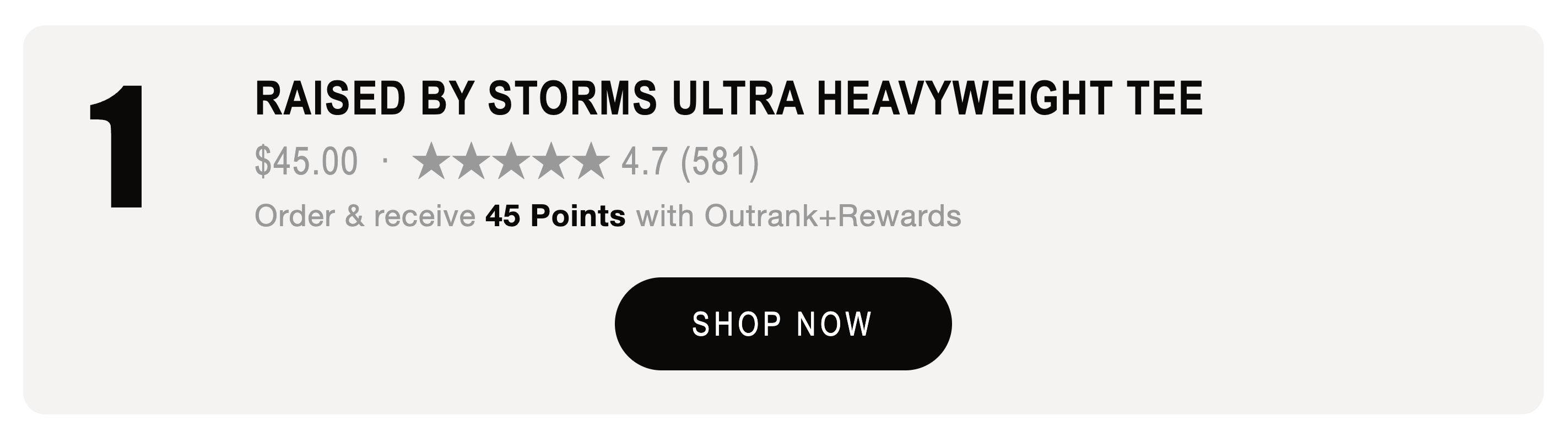 RAISED BY STORMS ULTRA HEAVYWEIGHT T-SHIRT