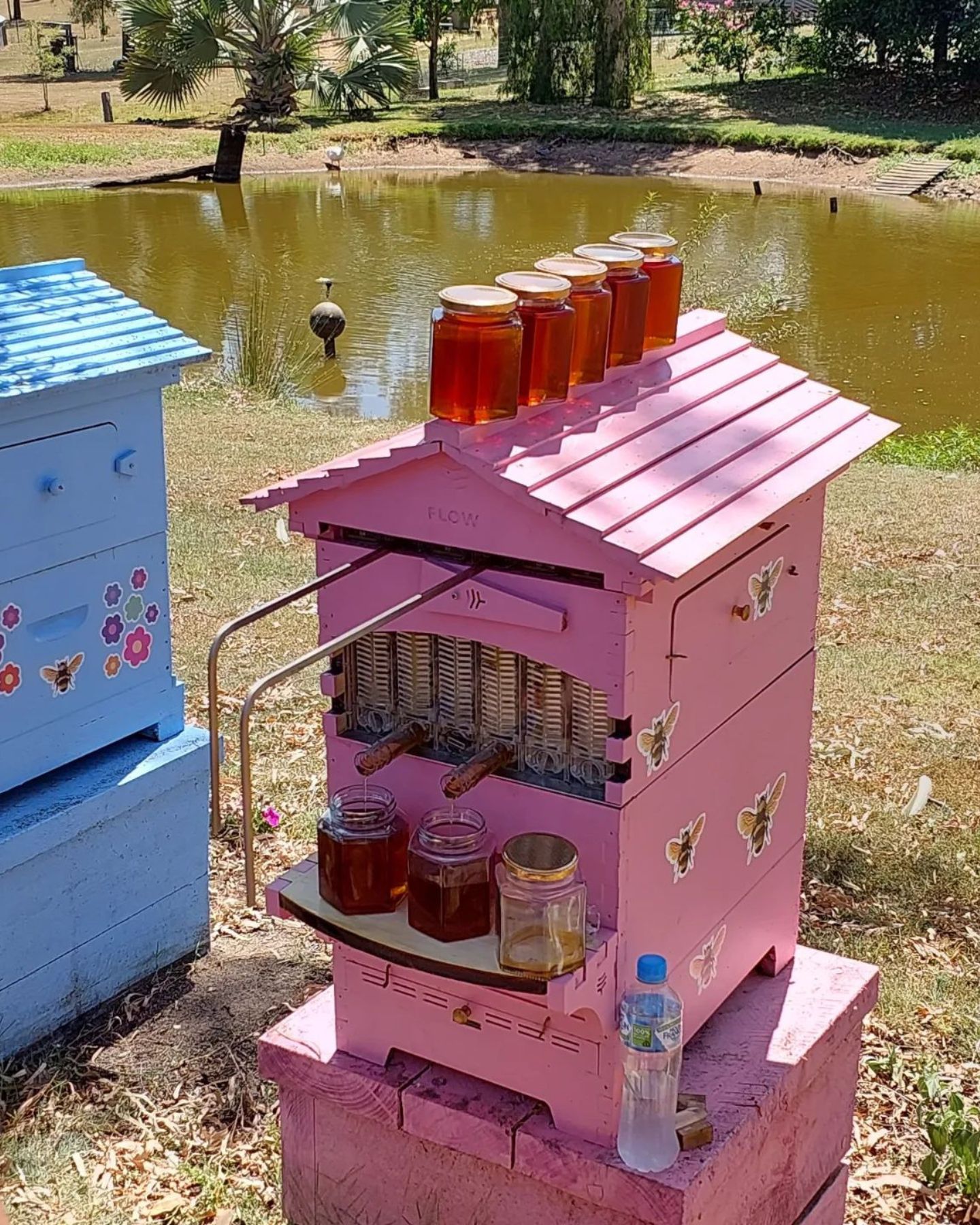 How many bees does it take to produce 1 teaspoon of honey? Flow Hive