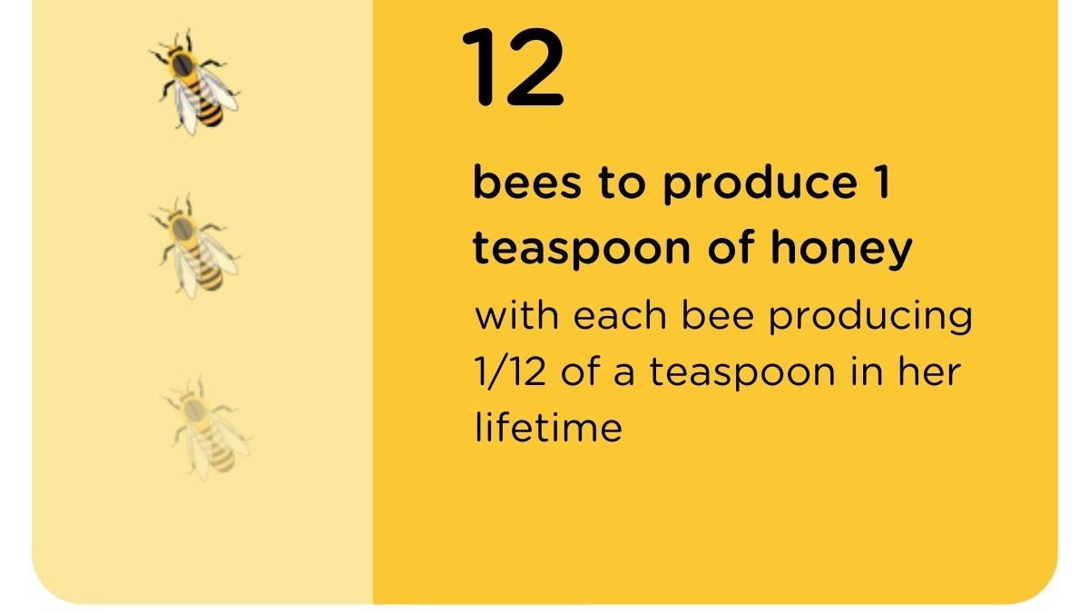 How many bees does it take to produce 1 teaspoon of honey? Flow Hive