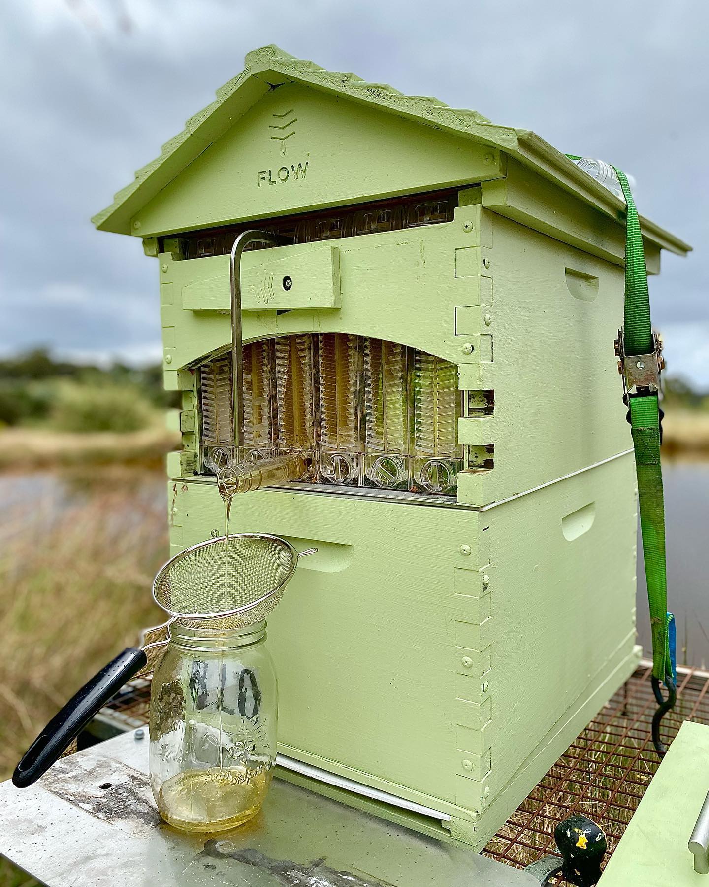 How many bees does it take to produce 1 teaspoon of honey? Flow Hive