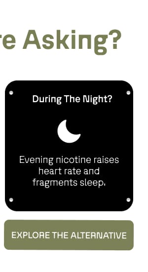 During The Night?