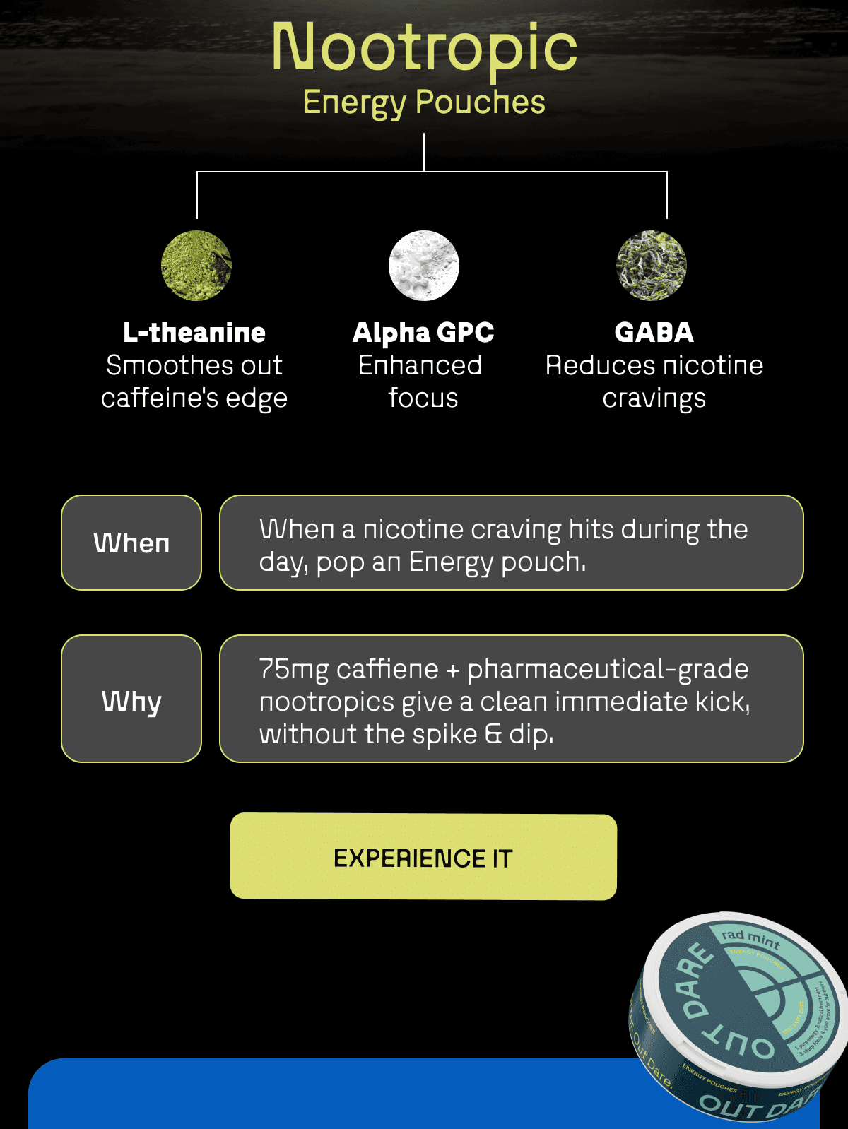 NOOTROPIC ENERGY POUCHES: L-THEANINE, ALPHA GPC, GABA
