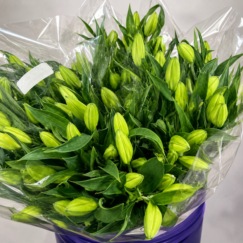 Lilies