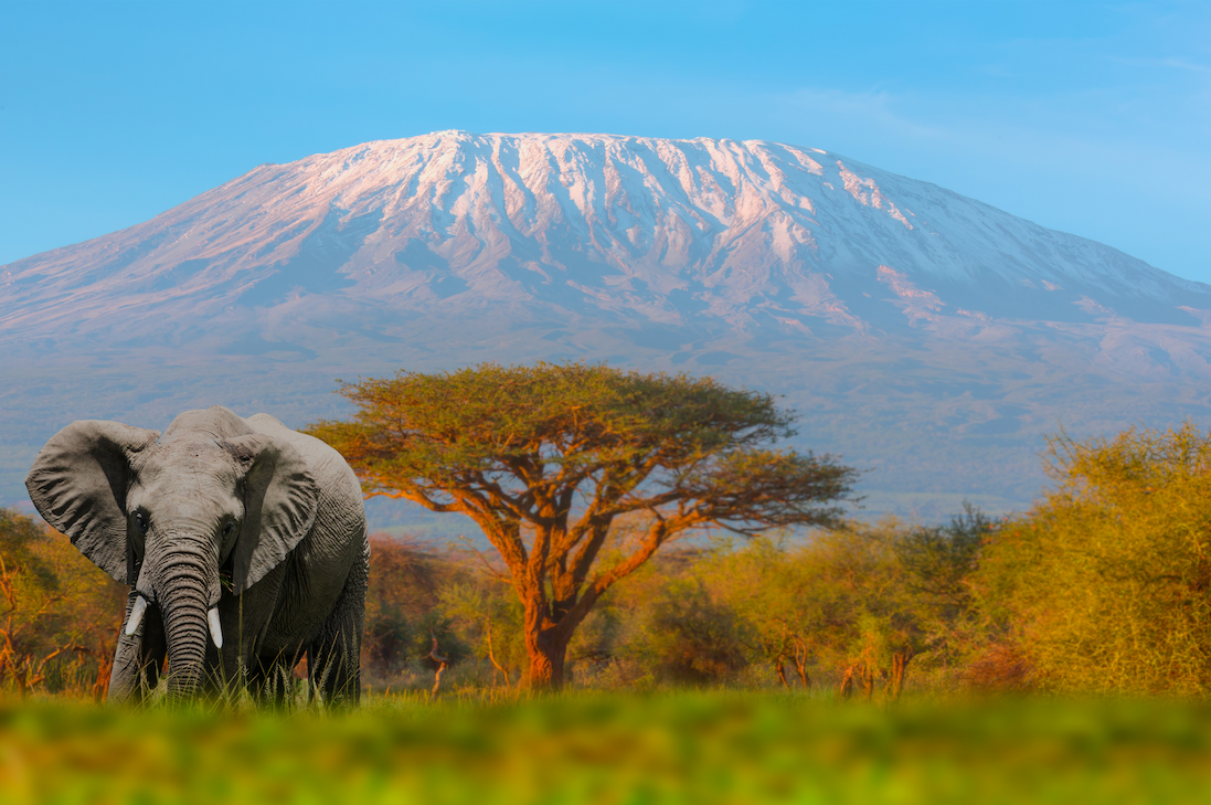 Mount Kilimanjaro