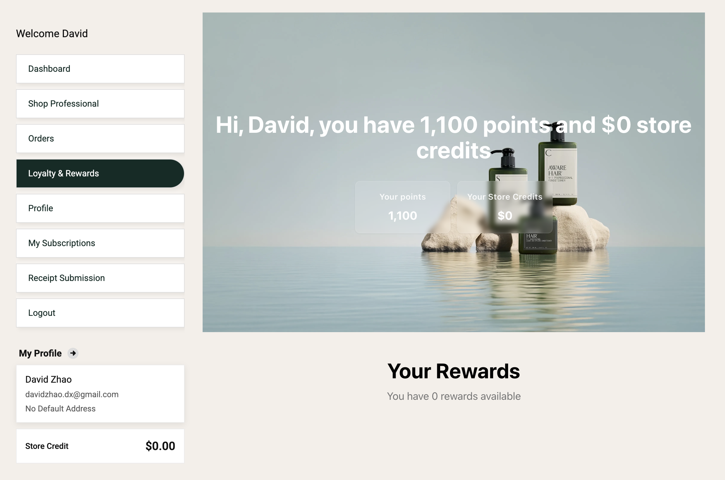 Loyalty and Rewards page showing points balance and store credits