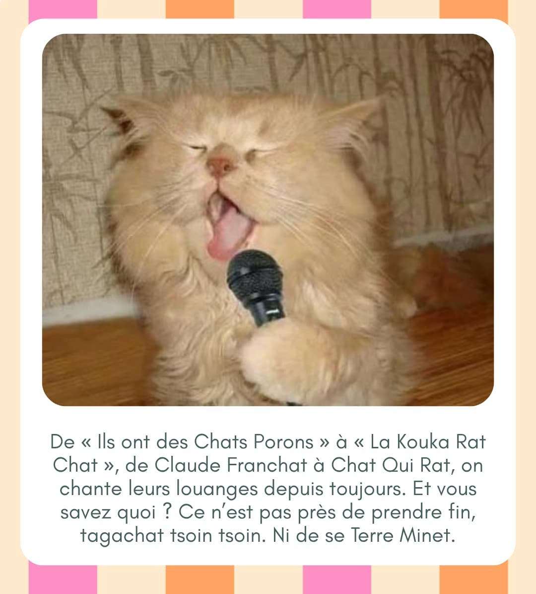 Preuve que les chats dominent le monde