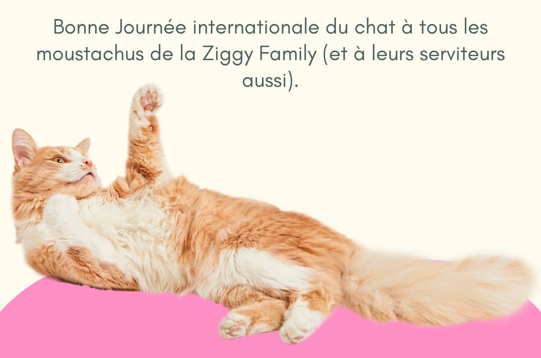 Ziggy
