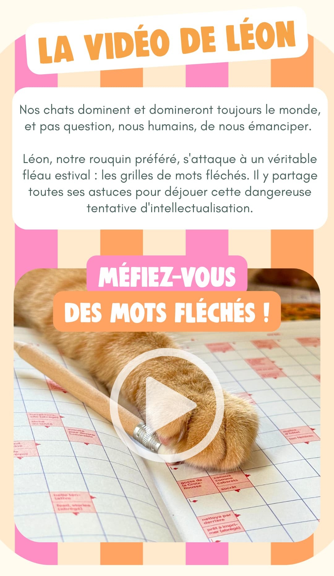 La vidéo de Léon