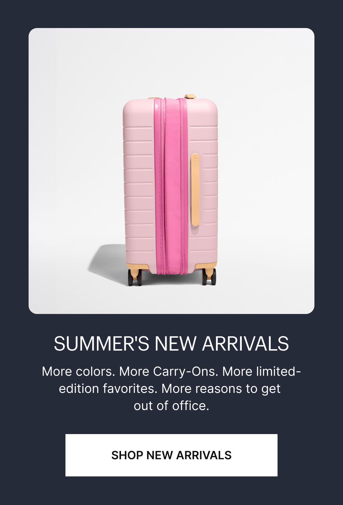 SUMMER'S NEW ARRIVALS