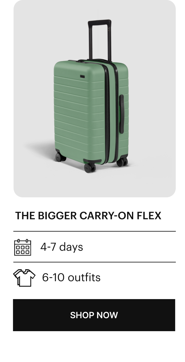 The Bigger Carry-On Clear Luggage Cover