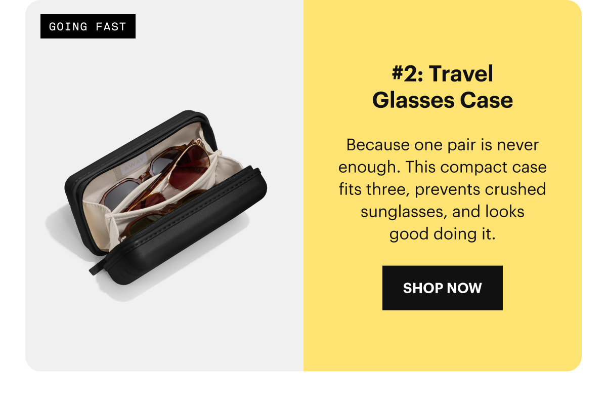 The Travel Glasses Case