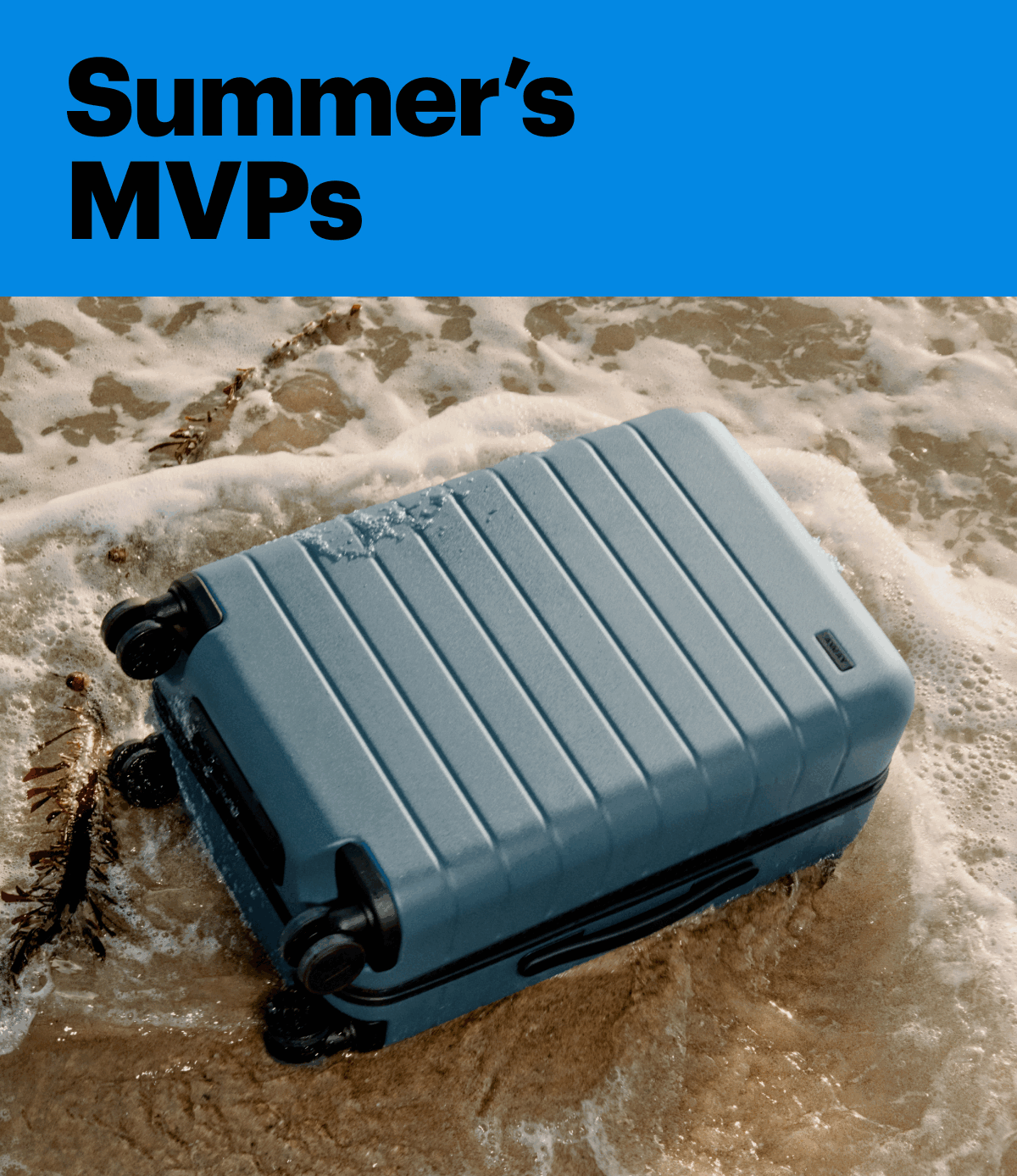 Summer's MVPs