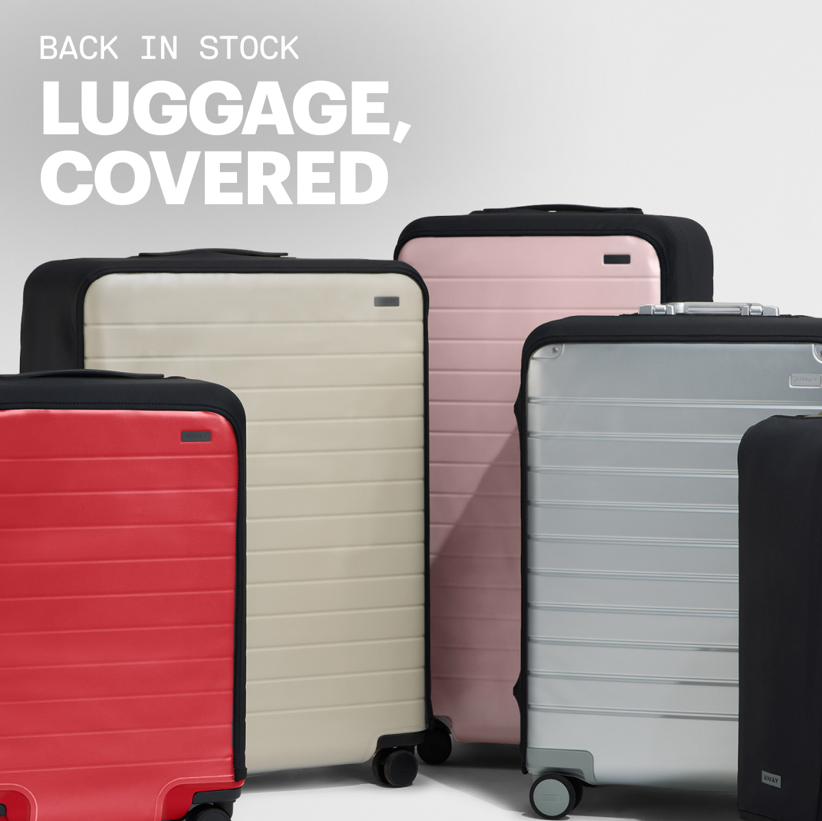 Back in Stock | Luggage, Covered