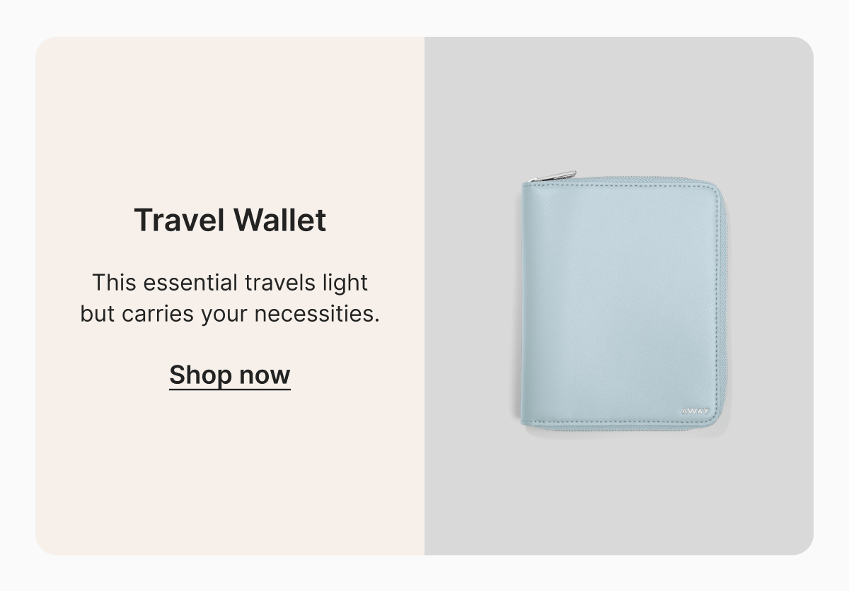 Travel Wallet