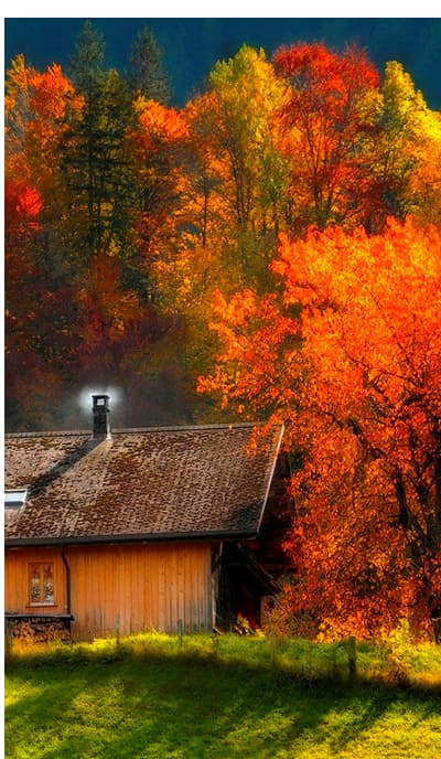 The season of pumpkins, leaf peeping and Thanksgiving bounty is a favorite theme for seasonal art