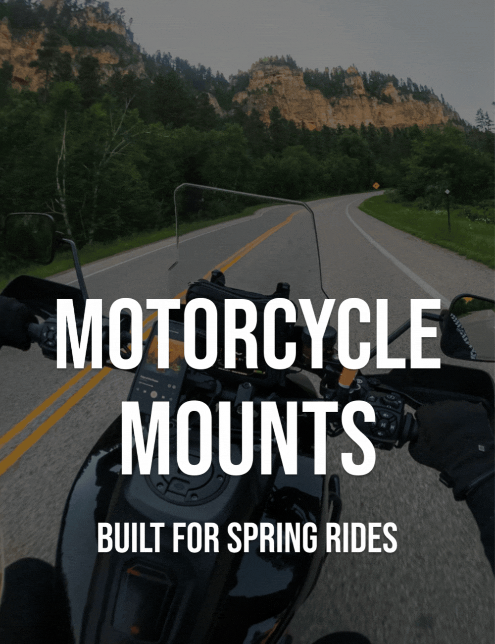 Motorcycle Mounts