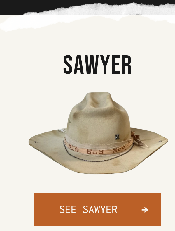 SAWYER SEE SAWYER → >