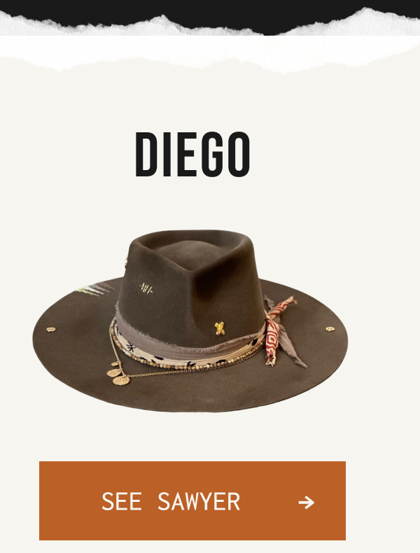 DIEGO SEE SAWYER → >